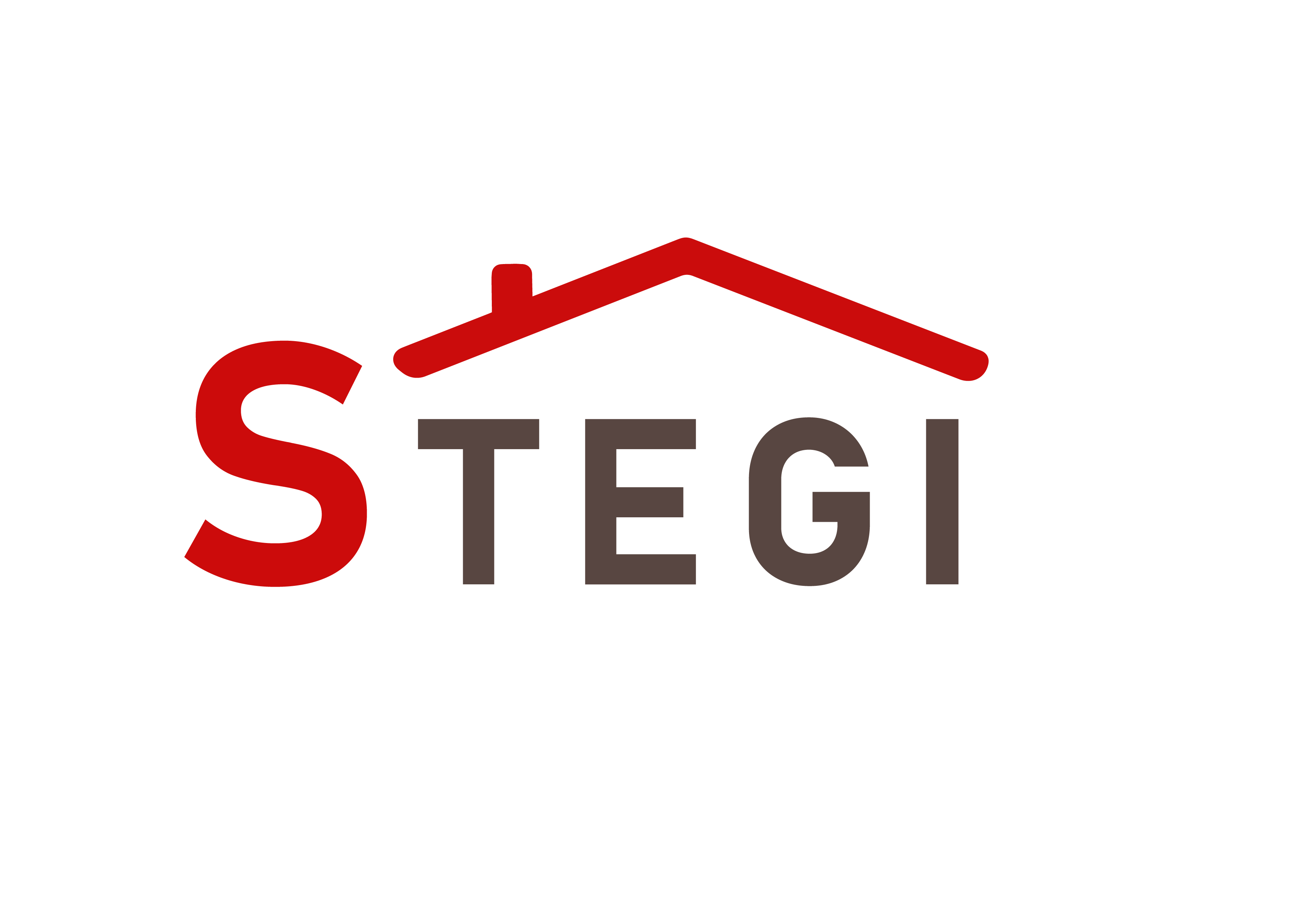 STEGI Solution